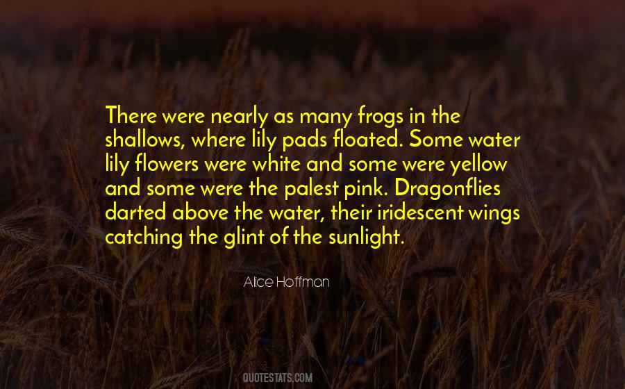 Quotes About Lily Pads #1647726