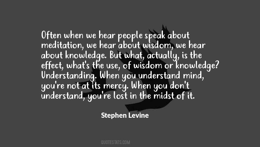 Levine's Quotes #1073345
