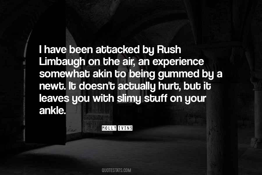 Limbaugh Quotes #1043108