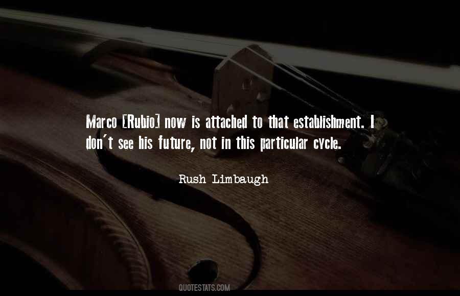 Limbaugh Quotes #86516