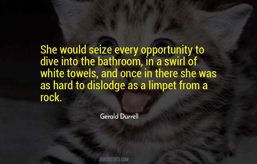 Limpet Quotes #1703585
