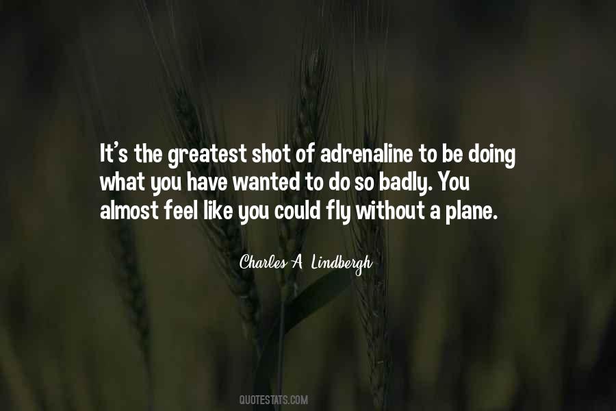 Lindbergh's Quotes #762851