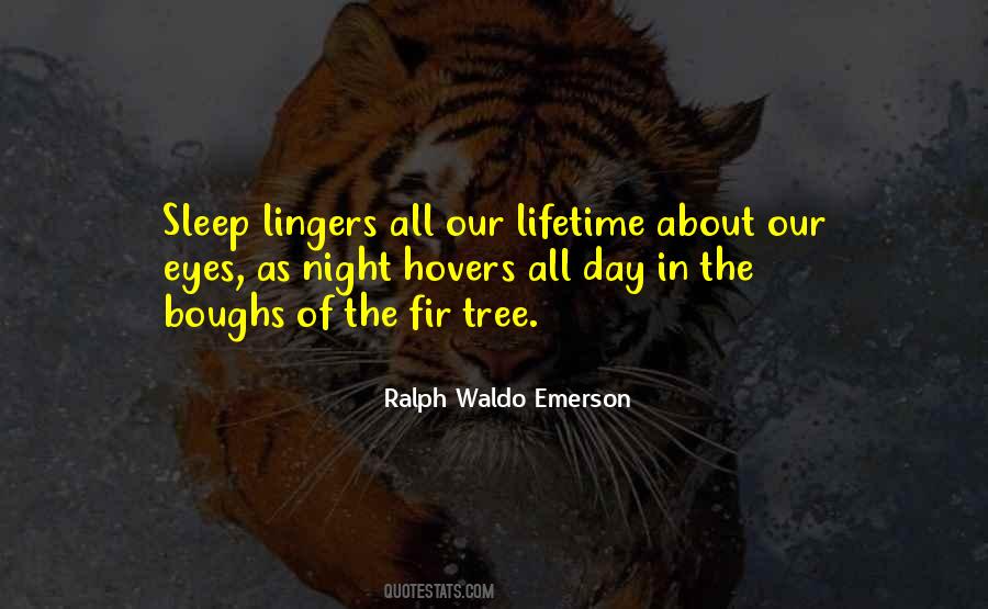 Lingers Quotes #533167