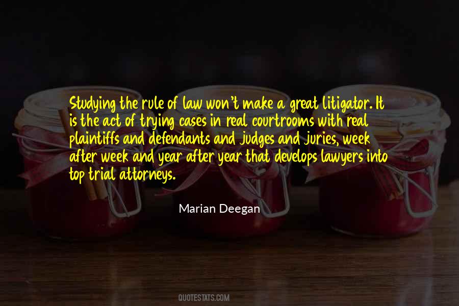 Litigator Quotes #573297