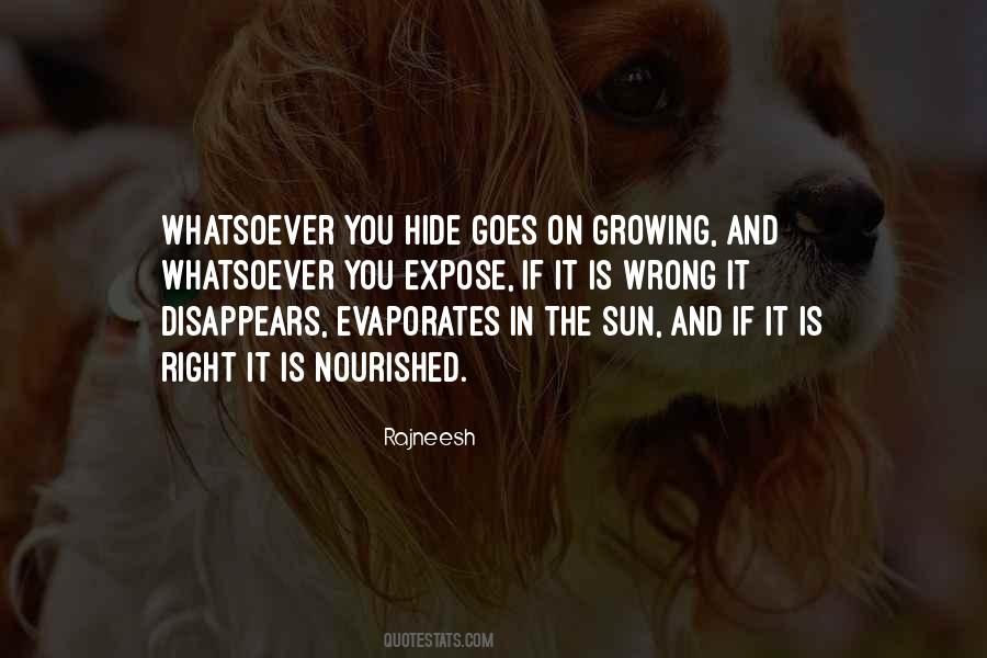 Lodgings Quotes #1380608