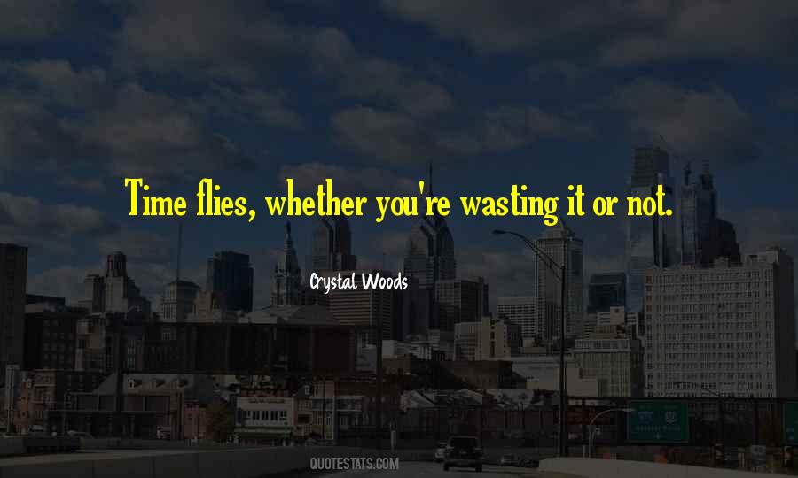 Quotes About Wasted Time #56258