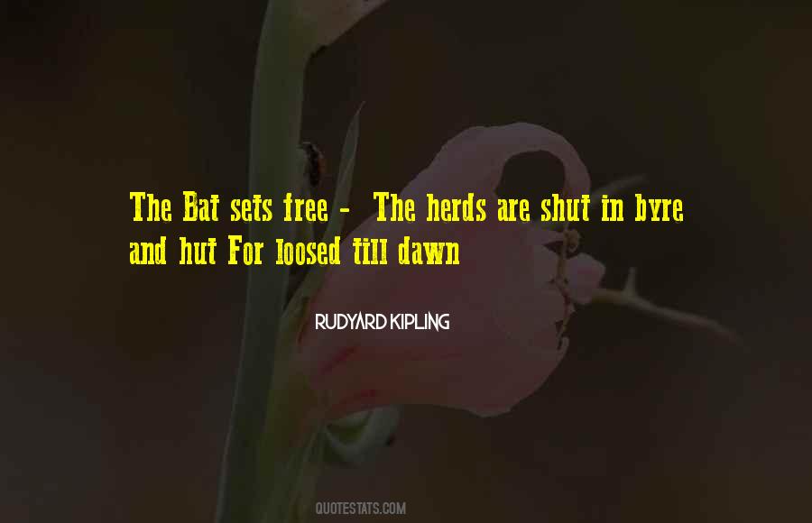 Loosed Quotes #1354480