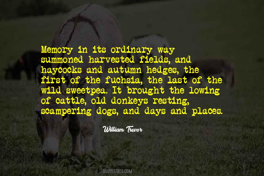 Lowing Quotes #564060