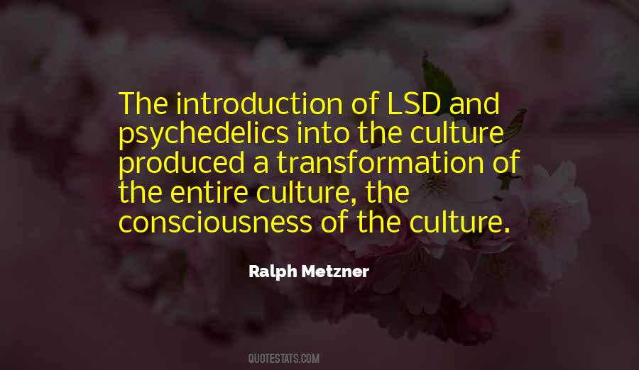 Lsd's Quotes #876556
