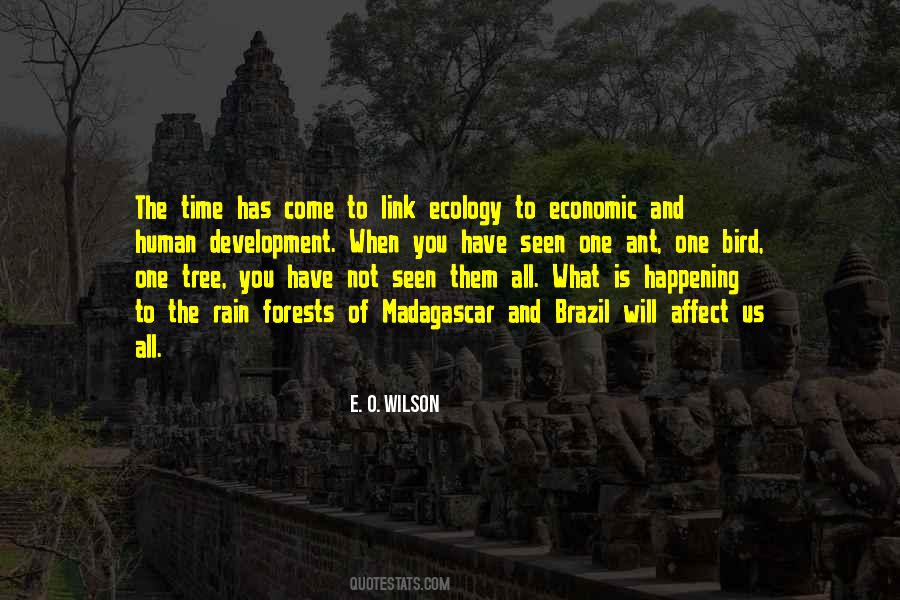 Madagascar's Quotes #1586377