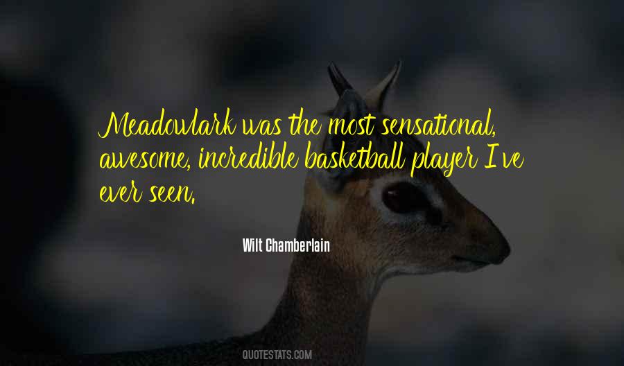 Quotes About Basketball Player #408011