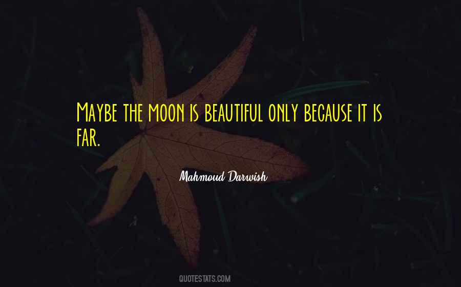 Mahmoud's Quotes #380977