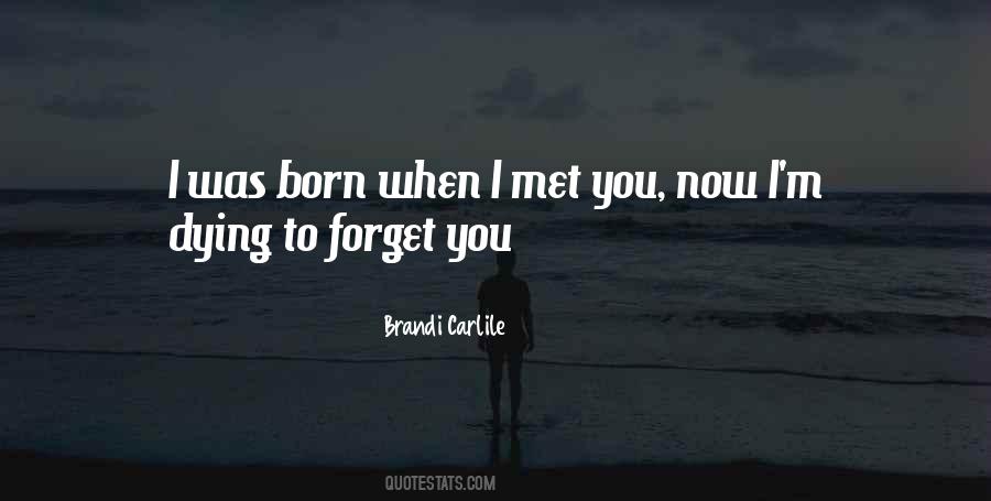 Quotes About When I Met You #845956