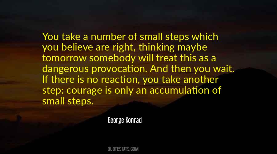 Quotes About Small Steps #1012030