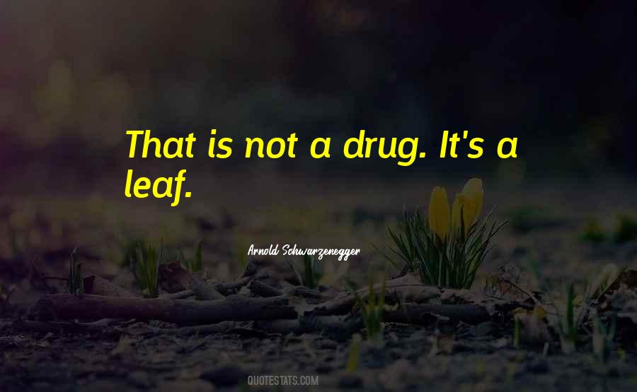 Marijuana's Quotes #1343503