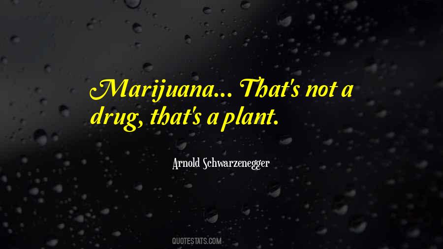 Marijuana's Quotes #1640777