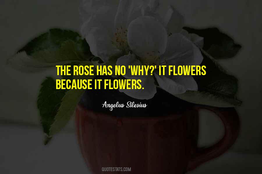 Quotes About Rose Flowers #1094295