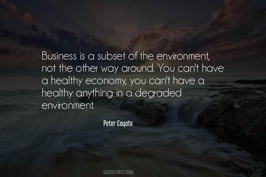 Quotes About The Business Environment #285744