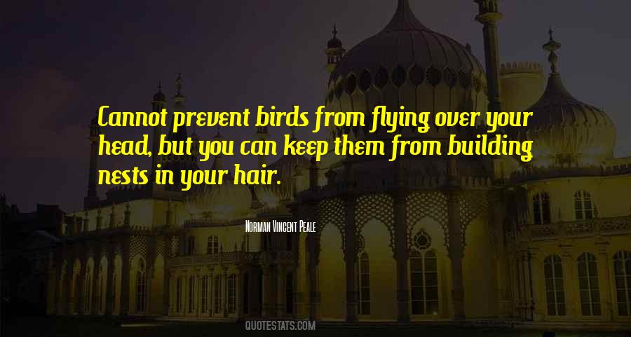 Quotes About Flying #1666882