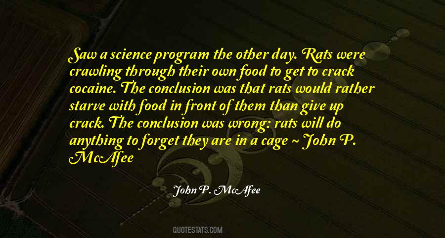 Mcafee's Quotes #507221