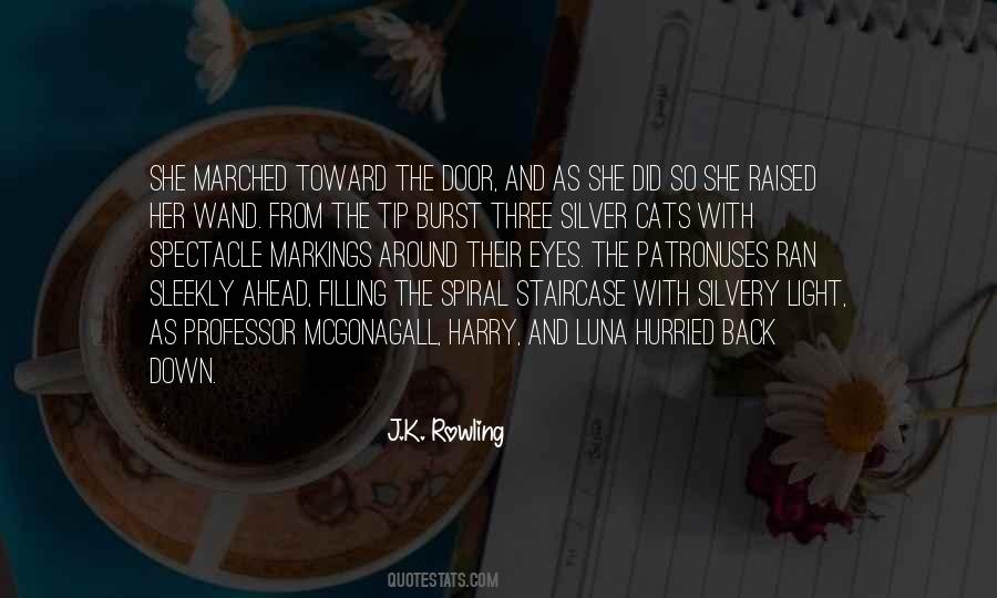 Mcgonagall's Quotes #375527