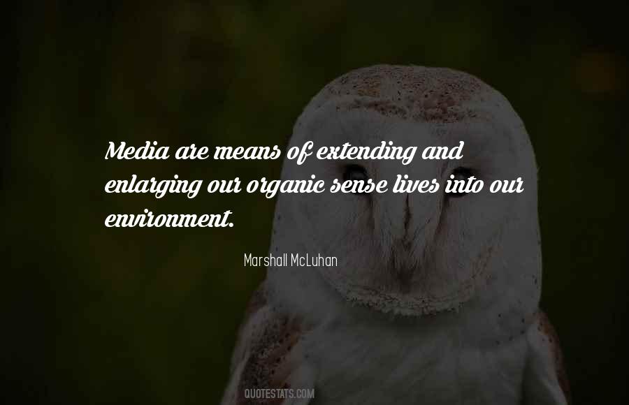 Mcluhan's Quotes #189613