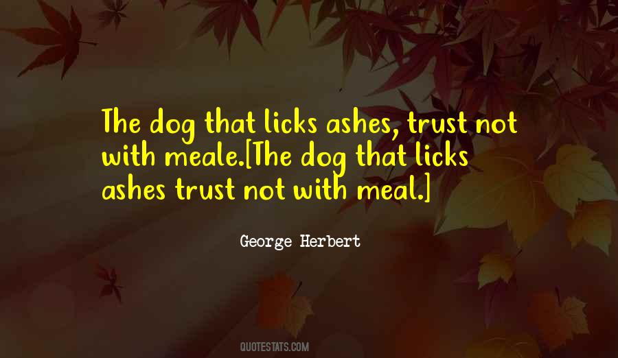 Meale Quotes #1777203