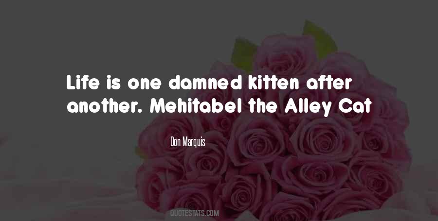 Mehitabel Quotes #1728679