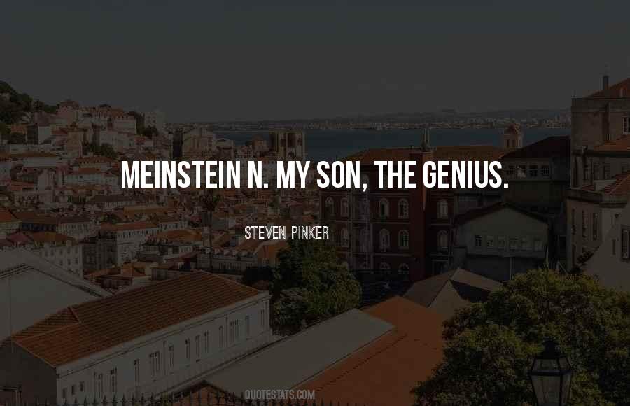 Meinstein Quotes #133735