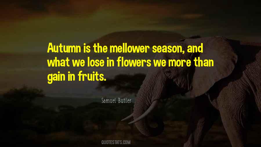 Mellower Quotes #318173