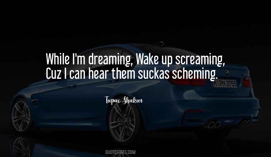 Quotes About Scheming #906215