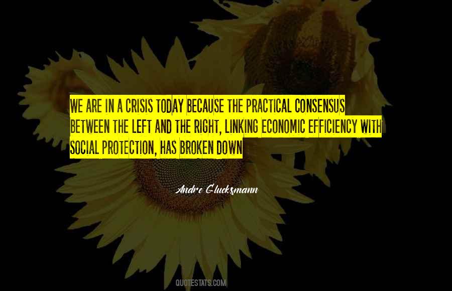 Quotes About Economic Crisis #884006