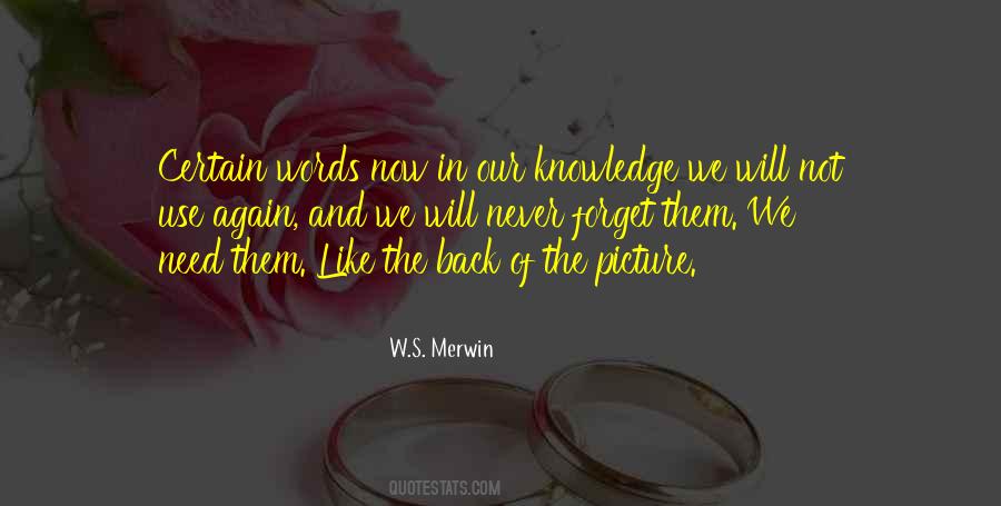 Merwin's Quotes #919071
