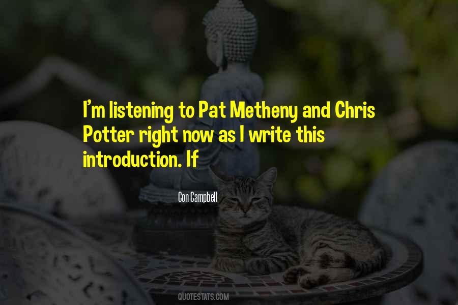 Metheny Quotes #1217928