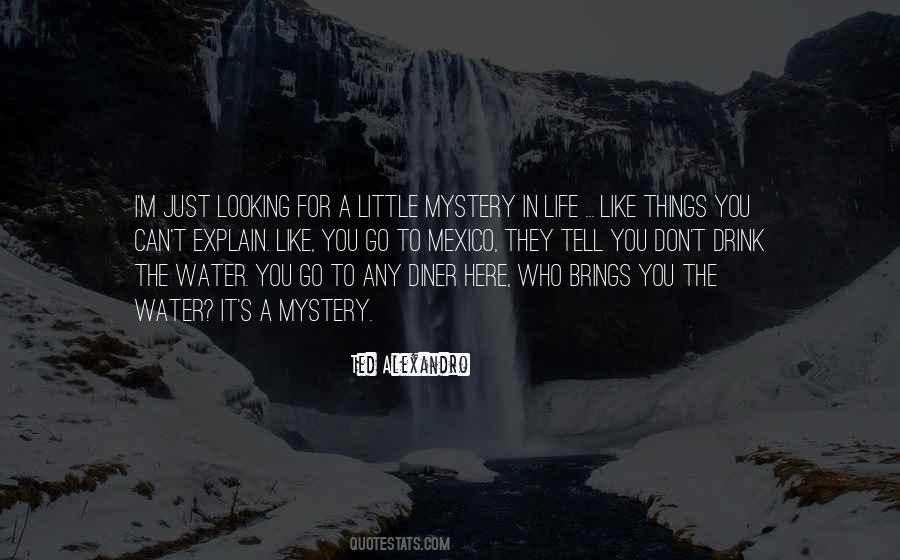 Mexico's Quotes #657025