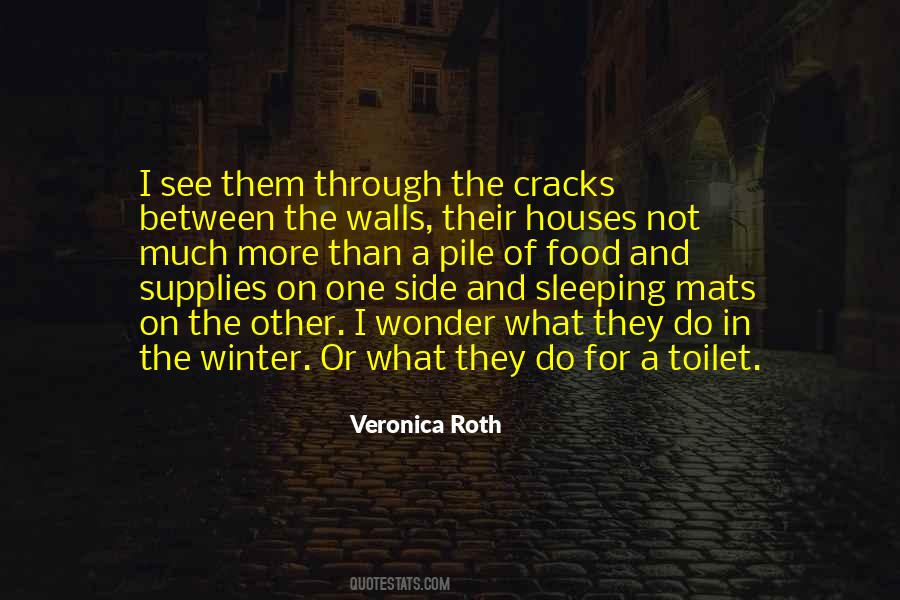 Quotes About Supplies #1414812