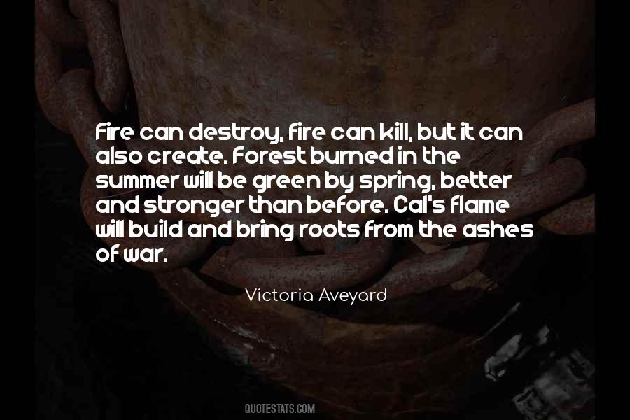 Quotes About Fire And Ashes #737197
