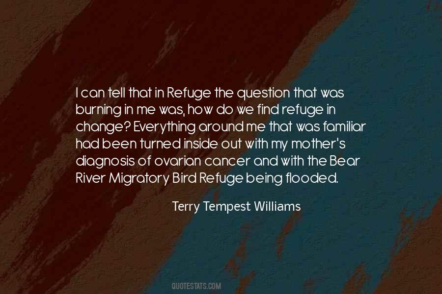 Migratory Quotes #1006501