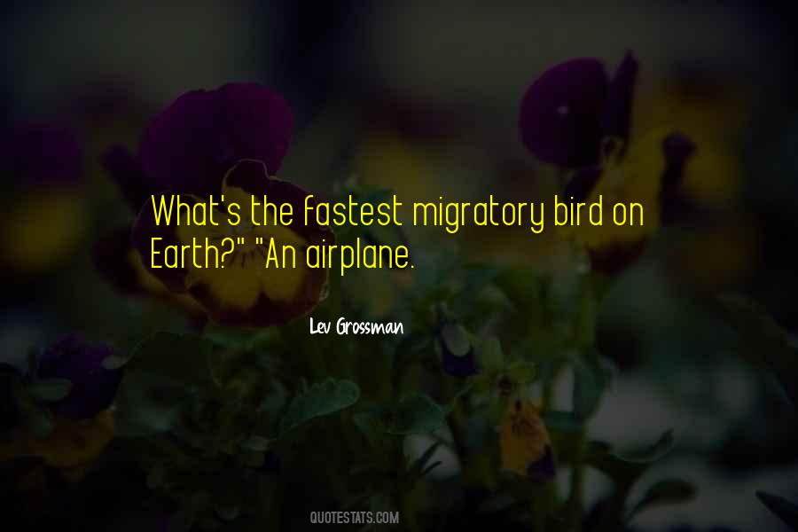 Migratory Quotes #113520