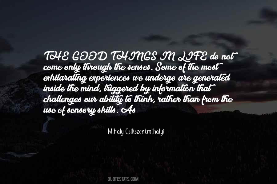 Mihaly Quotes #413828