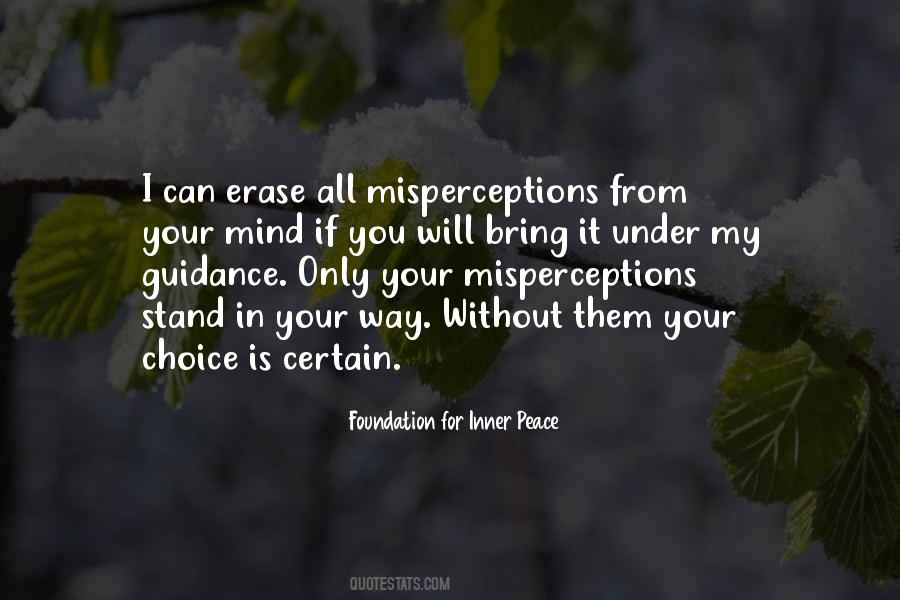 Misperceptions Quotes #50743