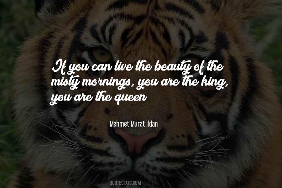 Misty's Quotes #56241
