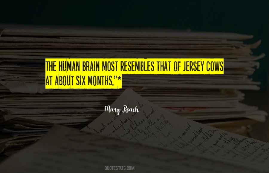 Quotes About Jersey #1027555