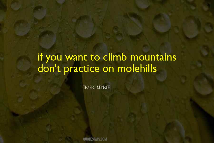 Molehills Quotes #778295