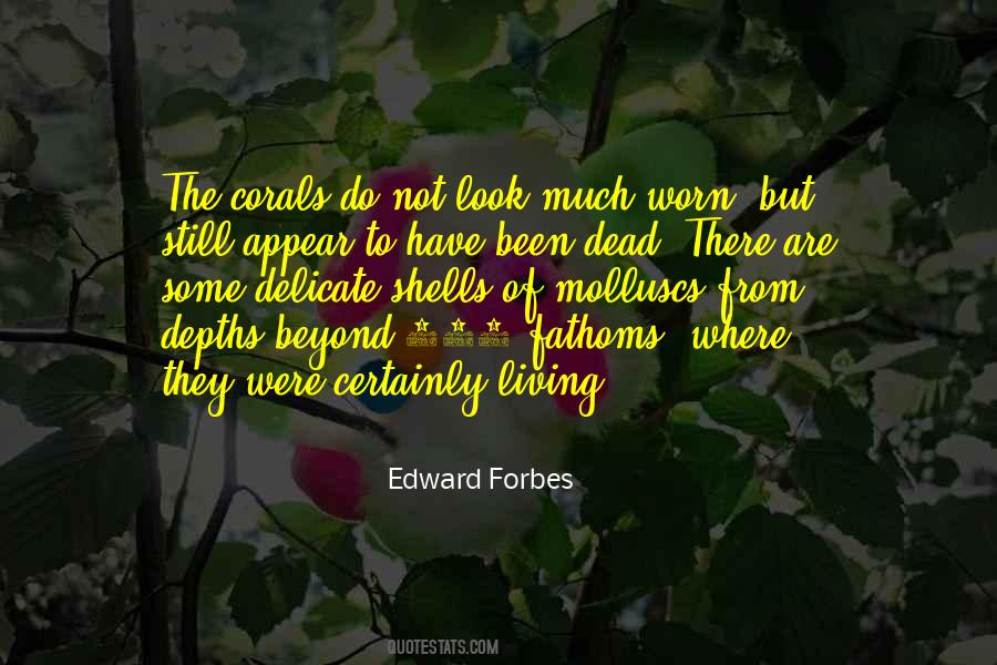 Molluscs Quotes #1307256