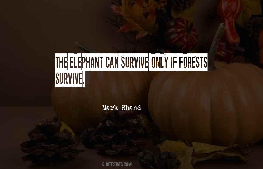 Quotes About Forests #1245153