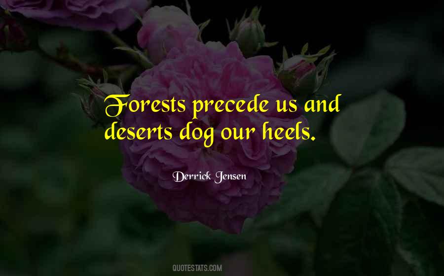 Quotes About Forests #1363558