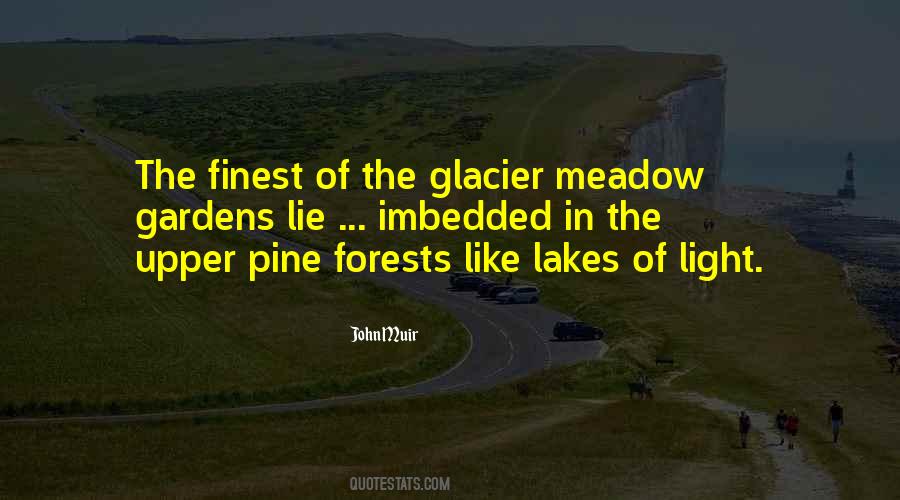 Quotes About Forests #1377136