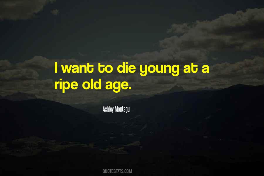 Montagu's Quotes #343472