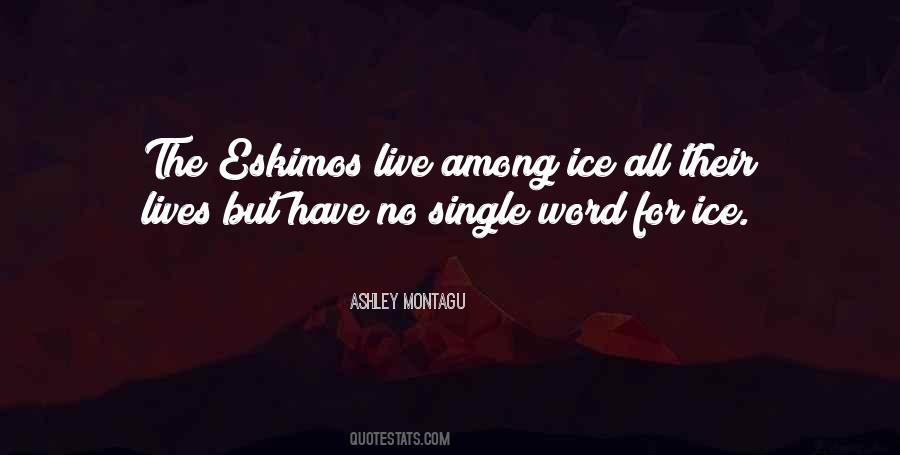 Montagu's Quotes #656961